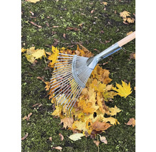 Les feuilles sont ratissées avec un râteau en métal et en bois sur une pelouse.