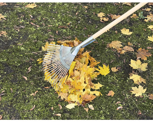 Balai à feuilles sur pelouse avec feuilles d''automne