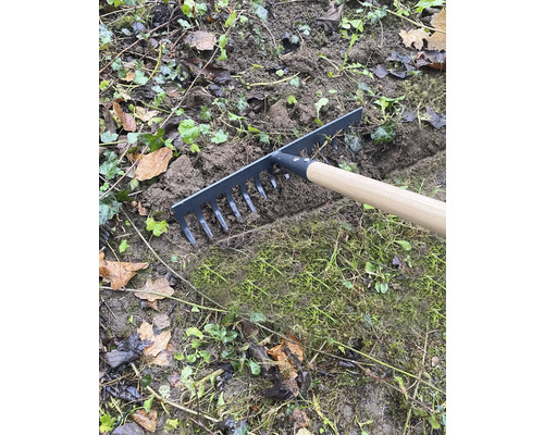 Râteau de jardin avec manche en bois pour niveler la terre