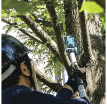 Une personne portant un casque utilise un ébrancheur pour tailler un arbre.