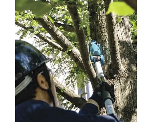 Une personne portant un casque utilise un ébrancheur pour tailler un arbre.