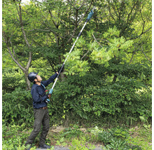 Une personne utilise une élagueuse sur perche pour tailler les arbres.