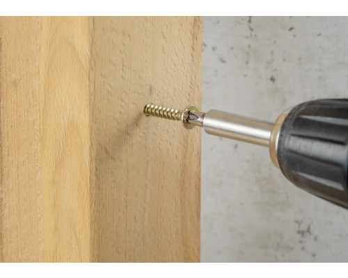 Une vis est vissée dans une planche en bois avec une visseuse sans fil.