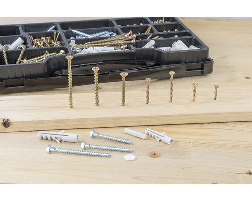 Sortimentskasten mit verschiedenen Schrauben und Dübeln auf Holzgrund