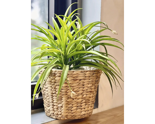 Plante verte artificielle avec fleurs dans un panier tressé