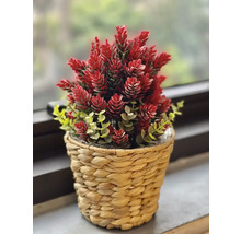 Plante artificielle avec des fleurs rouges dans un pot tressé