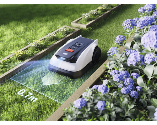 Robot tondeuse sur une pelouse avec des parterres de fleurs