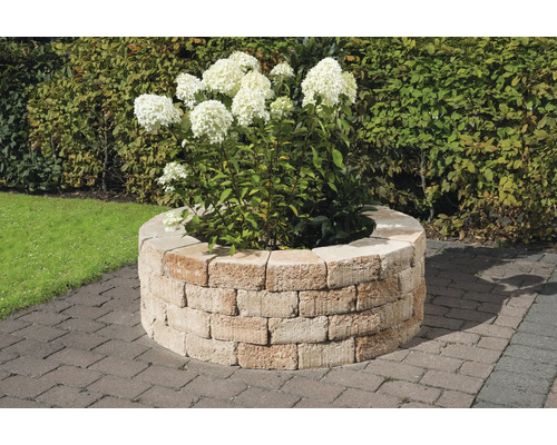 Jardinière en pierre avec Hydrangea dans le jardin