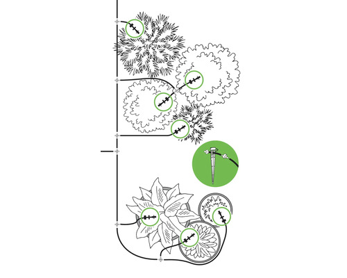Illustration d''un système d''irrigation pour plantes et arbres