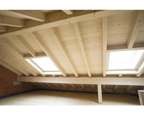 Grenier avec plafond en bois et fenêtres de toit