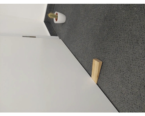 Porte intérieure avec butée de porte et cactus en pot