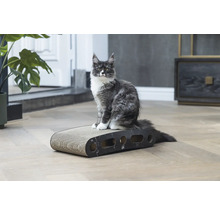 Un chat est assis sur une planche à gratter pour chats.