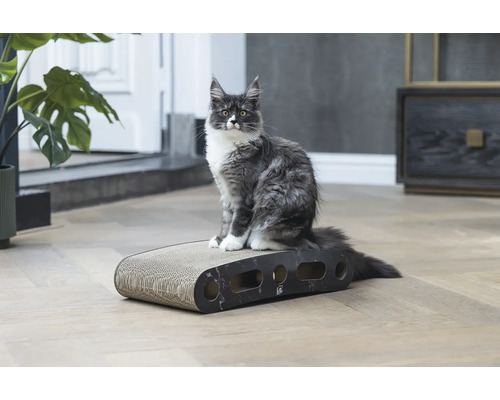 Un chat est assis sur une planche à gratter pour chats.