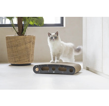 Chat sur un arbre à chat en carton avec des balles de jeu et une plante dans un panier