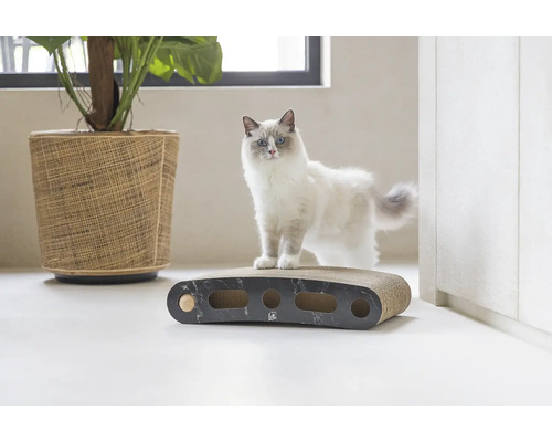 Chat sur un arbre à chat en carton avec des balles de jeu et une plante dans un panier