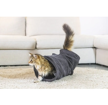 Chat dans un tunnel pour chat sur un tapis devant un canapé
