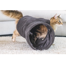 Chat jouant dans un tunnel pour chat