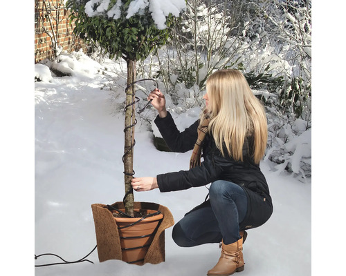 Femme fixant un câble chauffant sur un arbre en pot dans un jardin enneigé