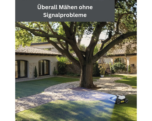 Rasenmähroboter mäht Rasen unter Baum im Garten eines Wohnhauses.