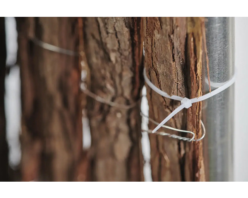 Gros plan d''écorce d''arbre, fixée à un poteau métallique avec des serre-câbles et du fil de fer