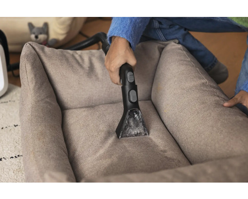 Nettoyage d''un lit pour chien avec un nettoyeur textile