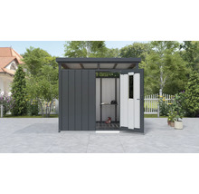 Abri de jardin avec porte ouverte, étagère et outils de jardin