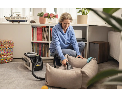 Frau reinigt ein Hundebett mit einem Waschsauger in einem hellen Wohnzimmer.