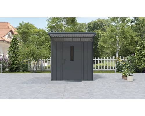 Abri de jardin en métal avec porte et fenêtre dans le jardin