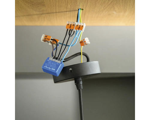 Verdrahtung einer Lampe mit Wago-Klemmen und Shelly-Modul