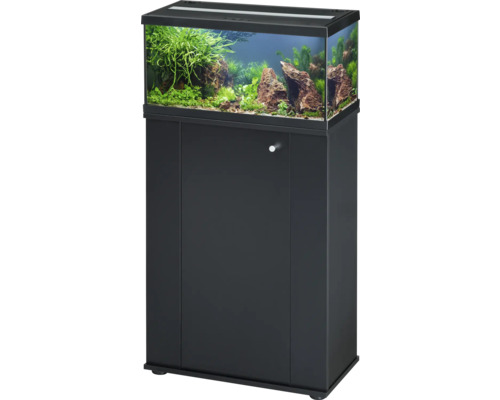 Aquarium avec meuble bas, planté et décoré avec des pierres