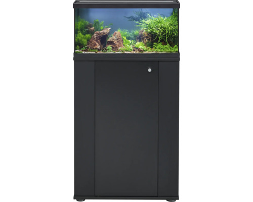 Aquarium combiné avec meuble bas, planté
