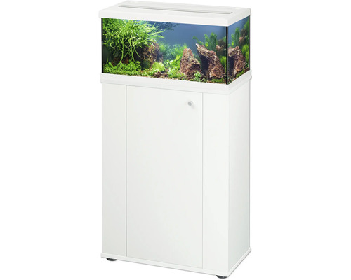 Aquarium avec meuble bas et aménagement intérieur