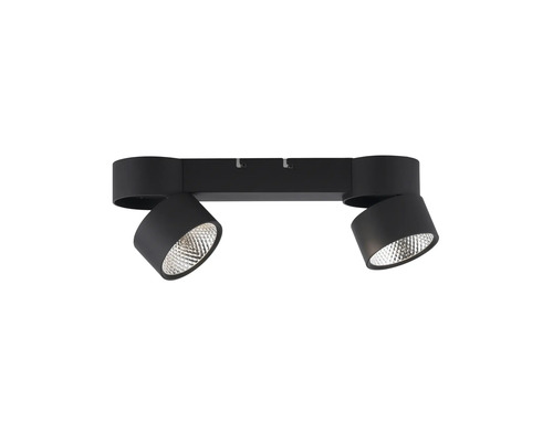 Schwarze Deckenleuchte mit zwei Strahlern