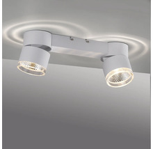 Deckenleuchte mit zwei Strahlern zur Innenraumbeleuchtung