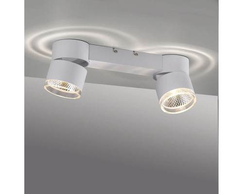 Deckenleuchte mit zwei Strahlern zur Innenraumbeleuchtung