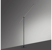 Schlanke Stehlampe mit zwei Lichtelementen