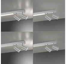 Deckenleuchte mit zwei Strahlern an einer Schiene