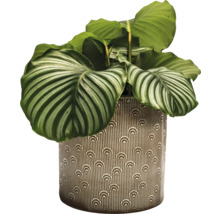 Cache-pot Ø 21 H 19 cm beige