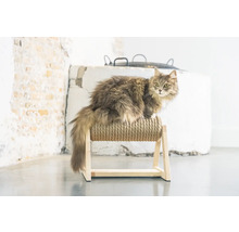 Katze auf Kratzbaum aus Seil und Holz