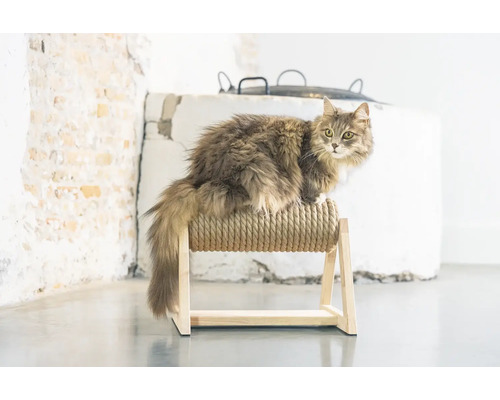 Katze auf Kratzbaum aus Seil und Holz