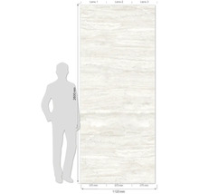 Dekorplatte mit Travertin-Optik, 2600x1125 mm