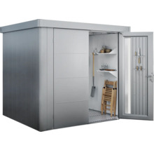 Abri de jardin biohort Neo 4B porte standard 235,5 x 347,5 cm argent métallique