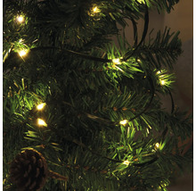 Geschmückter Weihnachtsbaum mit Lichterkette und Tannenzapfen