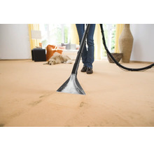 Person reinigt Teppich mit einem Teppichreinigungsgerät in einem Wohnzimmer.