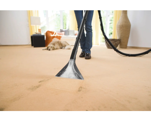 Une personne nettoie un tapis avec un appareil de nettoyage pour tapis dans un salon.