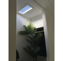 Heller Raum mit Oberlicht und Zimmerpflanze