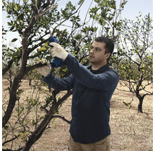 Un homme taille un arbre avec un sécateur de jardin à batterie dans le jardin.