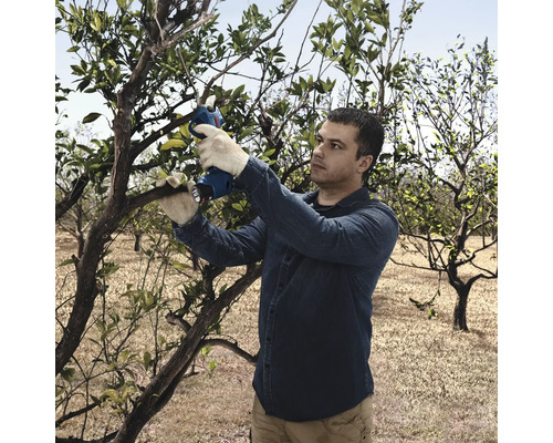 Un homme taille un arbre avec un sécateur de jardin à batterie dans le jardin.
