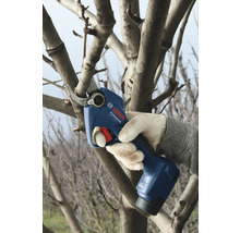 Utilisation d''un sécateur à batterie pour tailler une branche