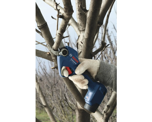 Utilisation d''un sécateur à batterie pour tailler une branche